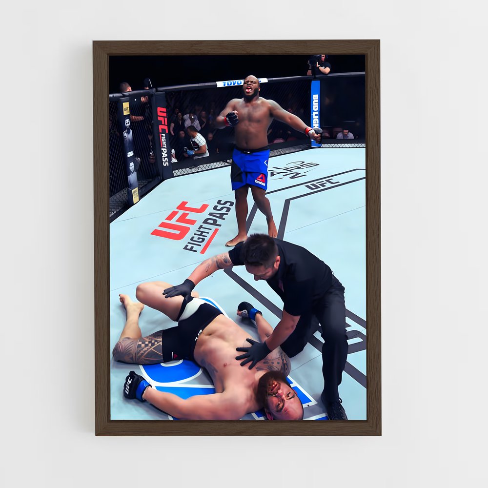 Poster Derrick lewis duel – affiche MMA (vue 5)